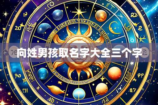 向姓男孩取名字大全三个字