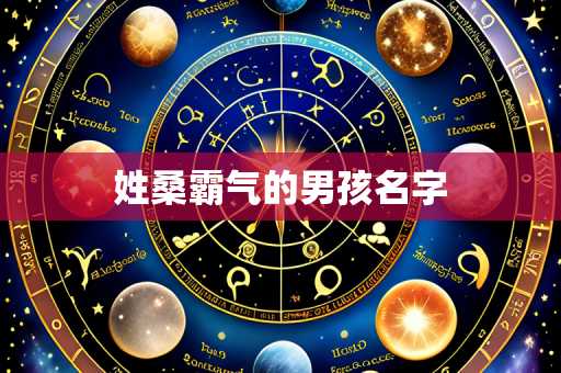 姓桑霸气的男孩名字